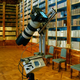 Illustration for article titled The Worlds Largest Picture Taken Indoors Is 40 Gigapixels of Classic Beauty